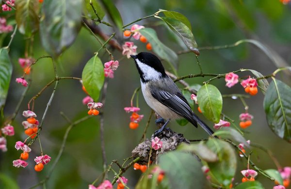 What Are the Best Practices for Managing Environmental Risks in Real Estate Development?